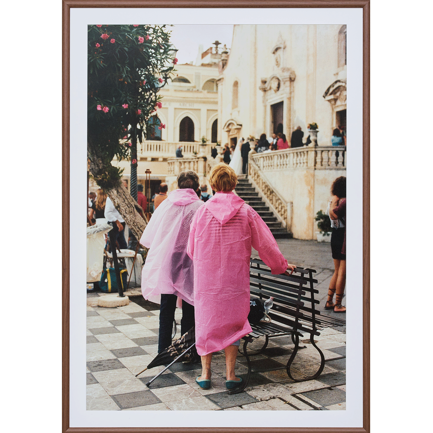 The Pink Ladies by Lily Bertrand-Webb