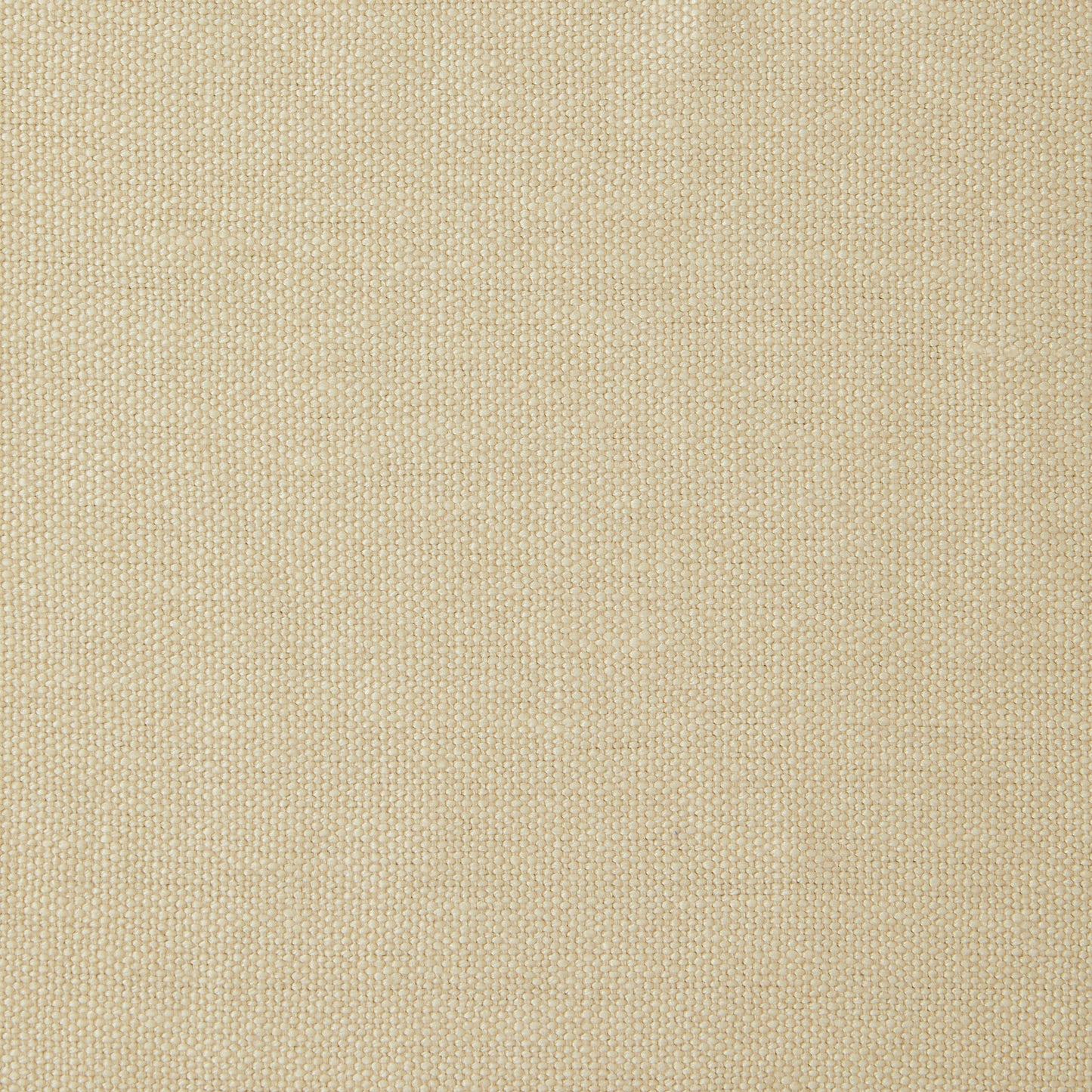 Sacha Linen in Stone