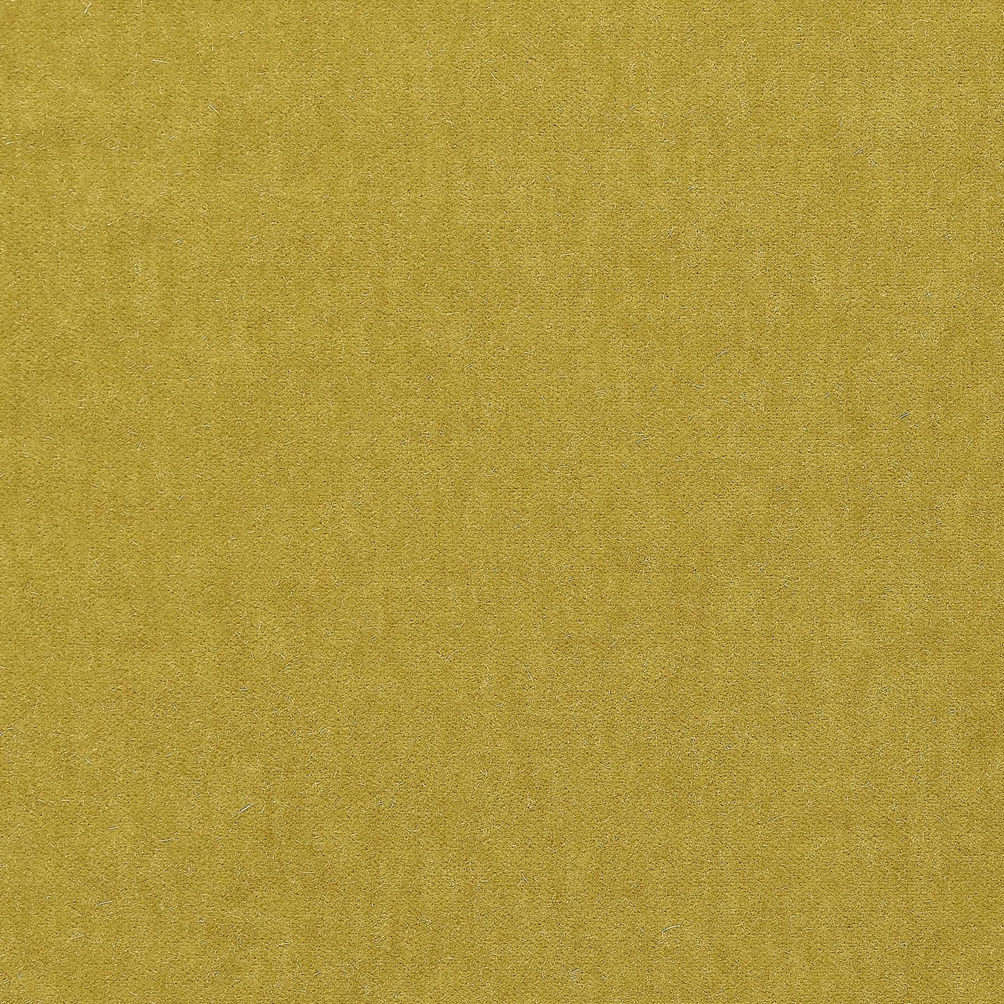 Marci Mohair Lichen