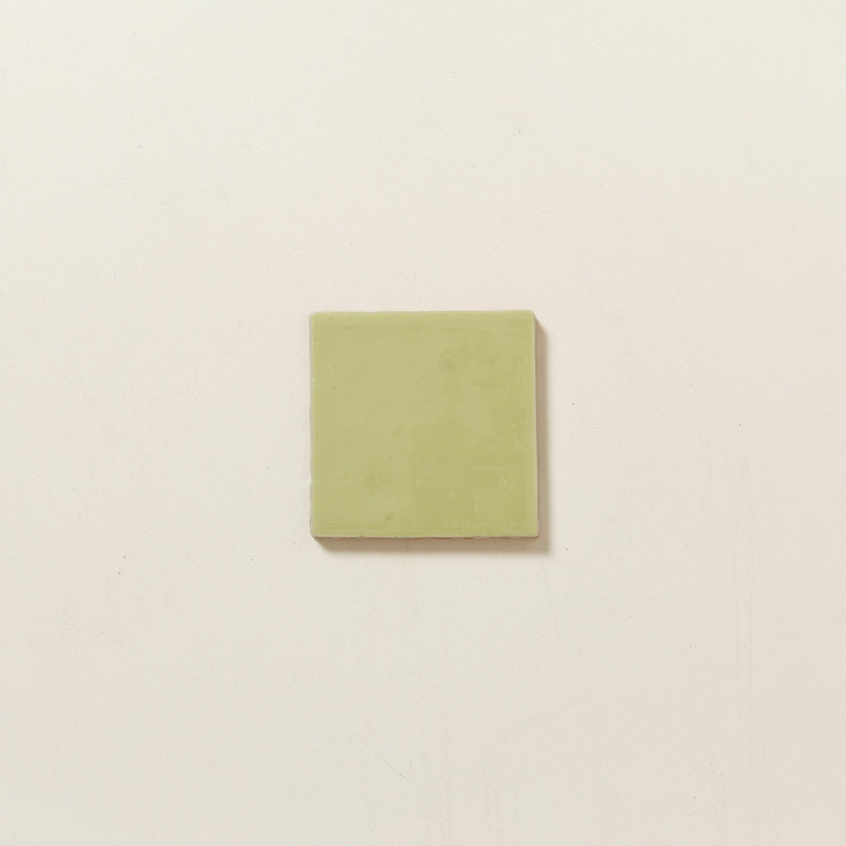 The Aloe Tile