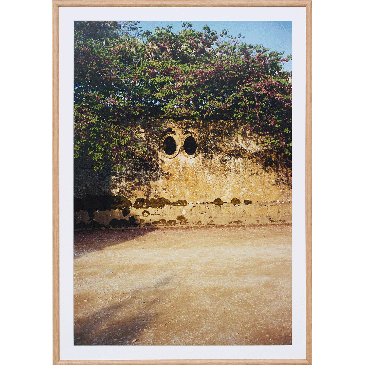 The Face on the Wall by Lily Bertrand-Webb