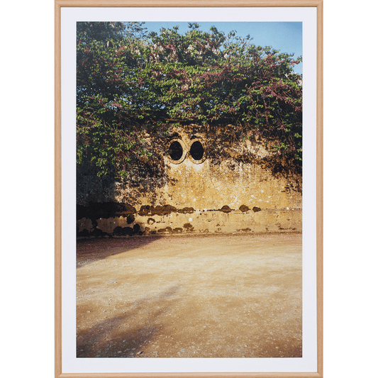 The Face on the Wall by Lily Bertrand-Webb