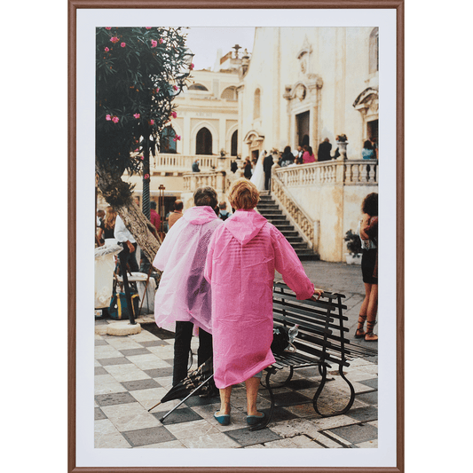 The Pink Ladies by Lily Bertrand-Webb