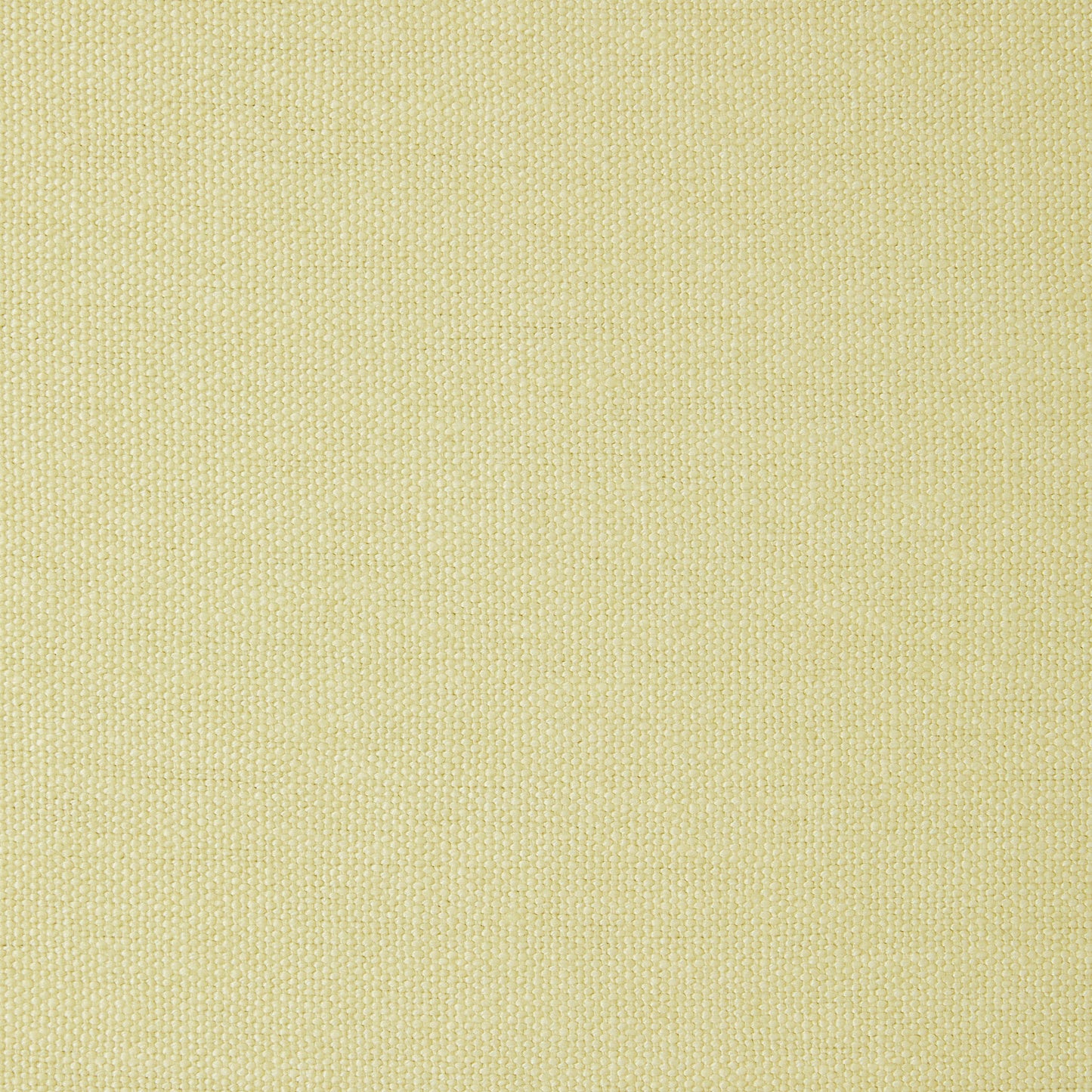 Sacha Linen in Lemon