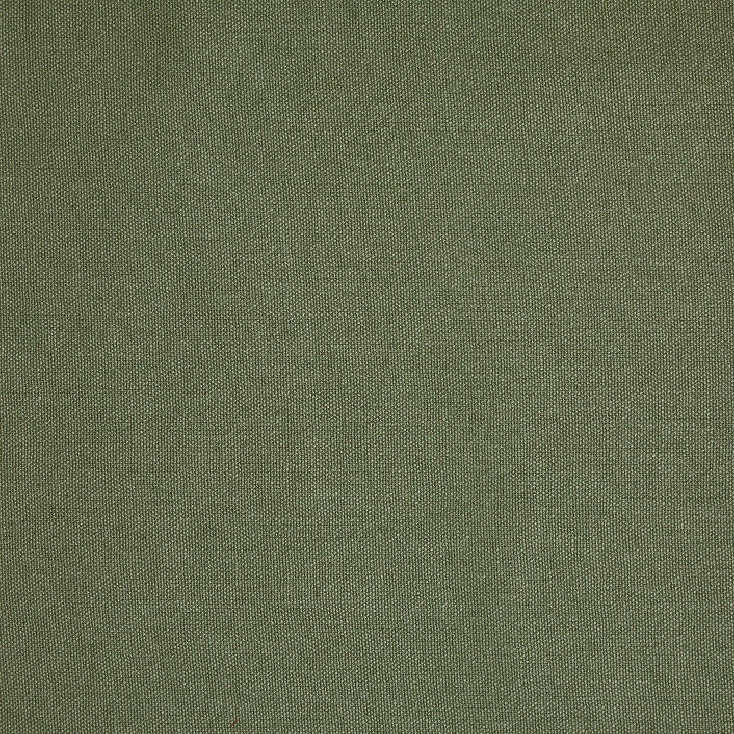 Sacha Linen in Moss