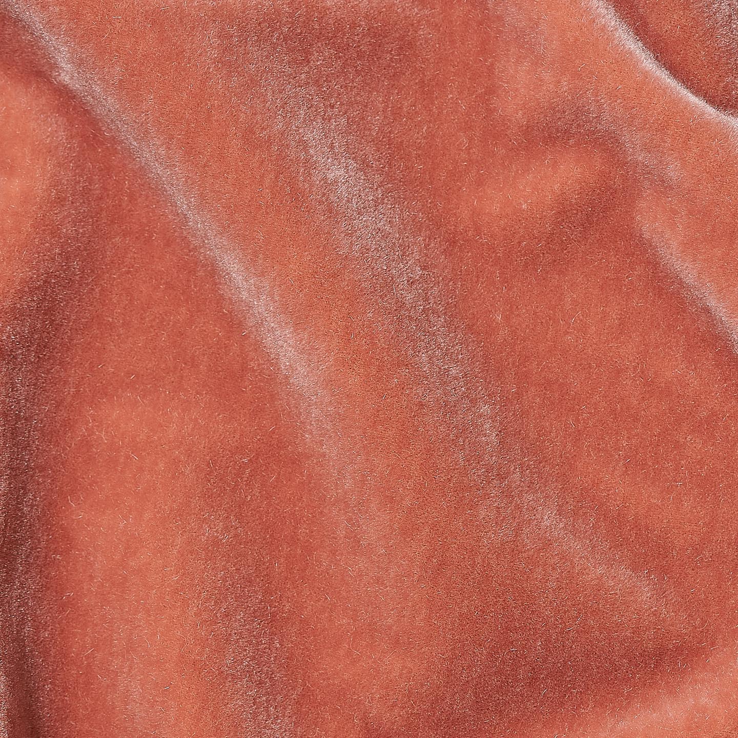 Marci Mohair Protea
