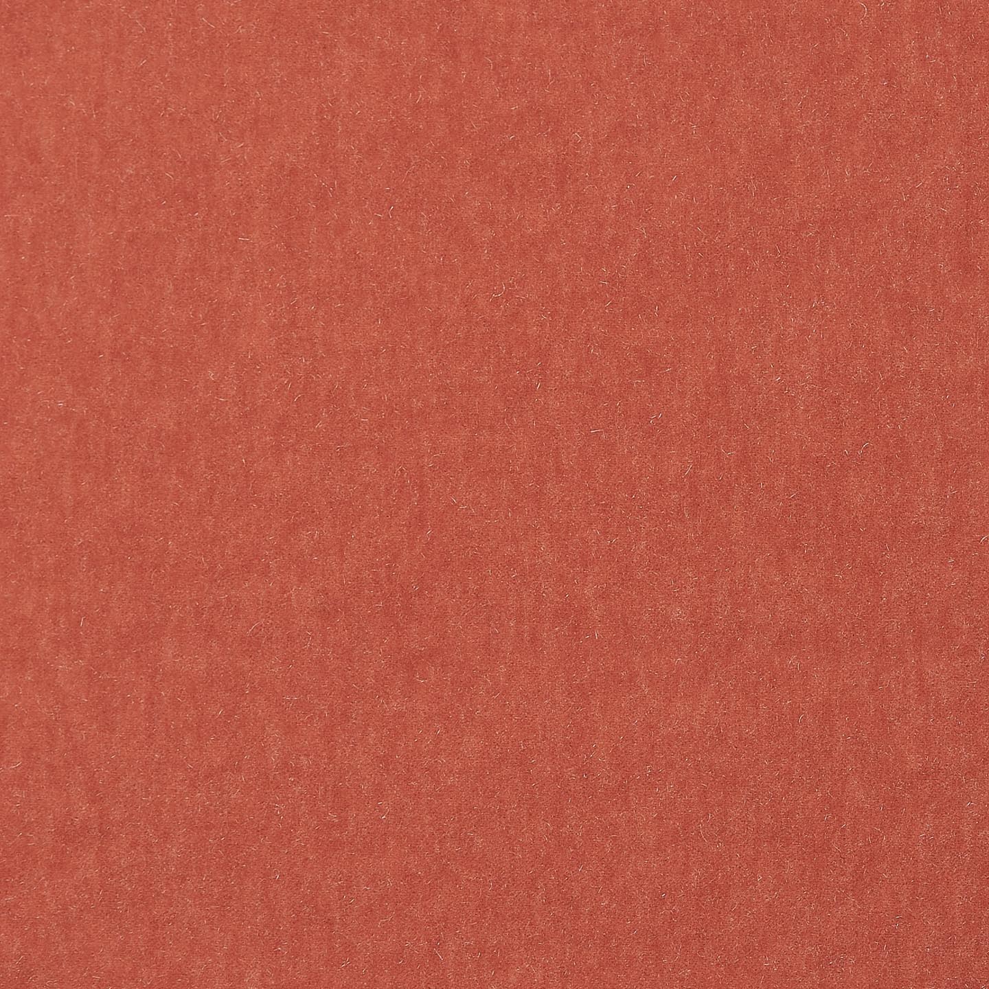 Marci Mohair Protea