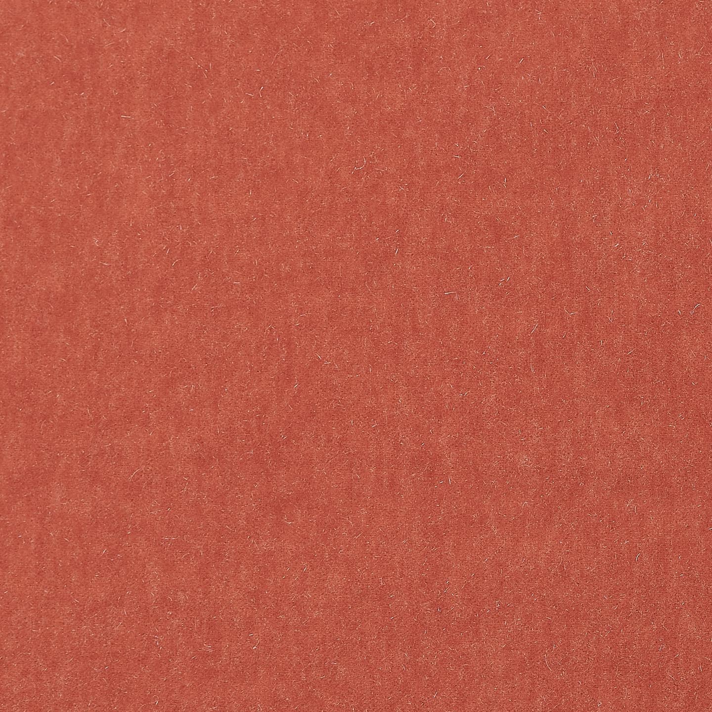 Marci Mohair Protea