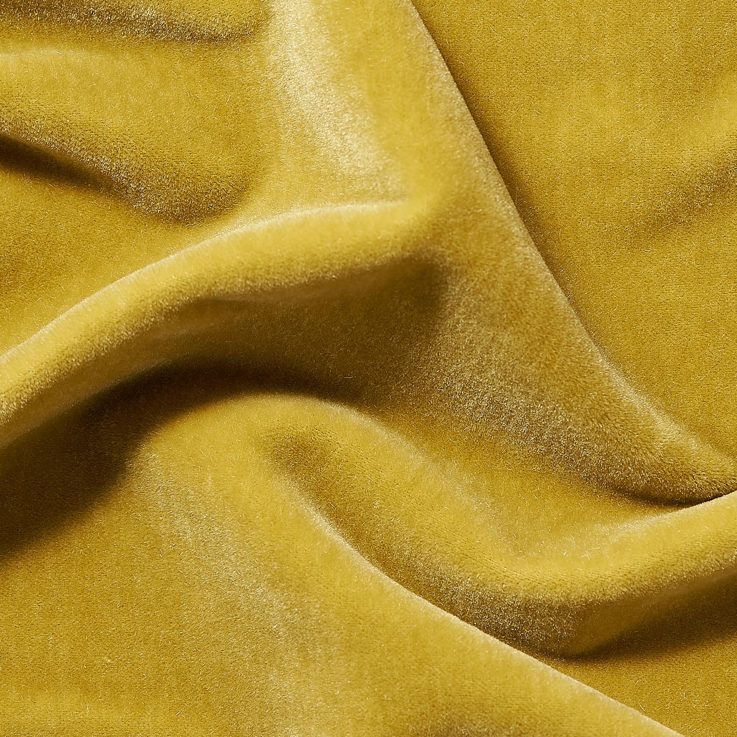 Marci Mohair Lichen