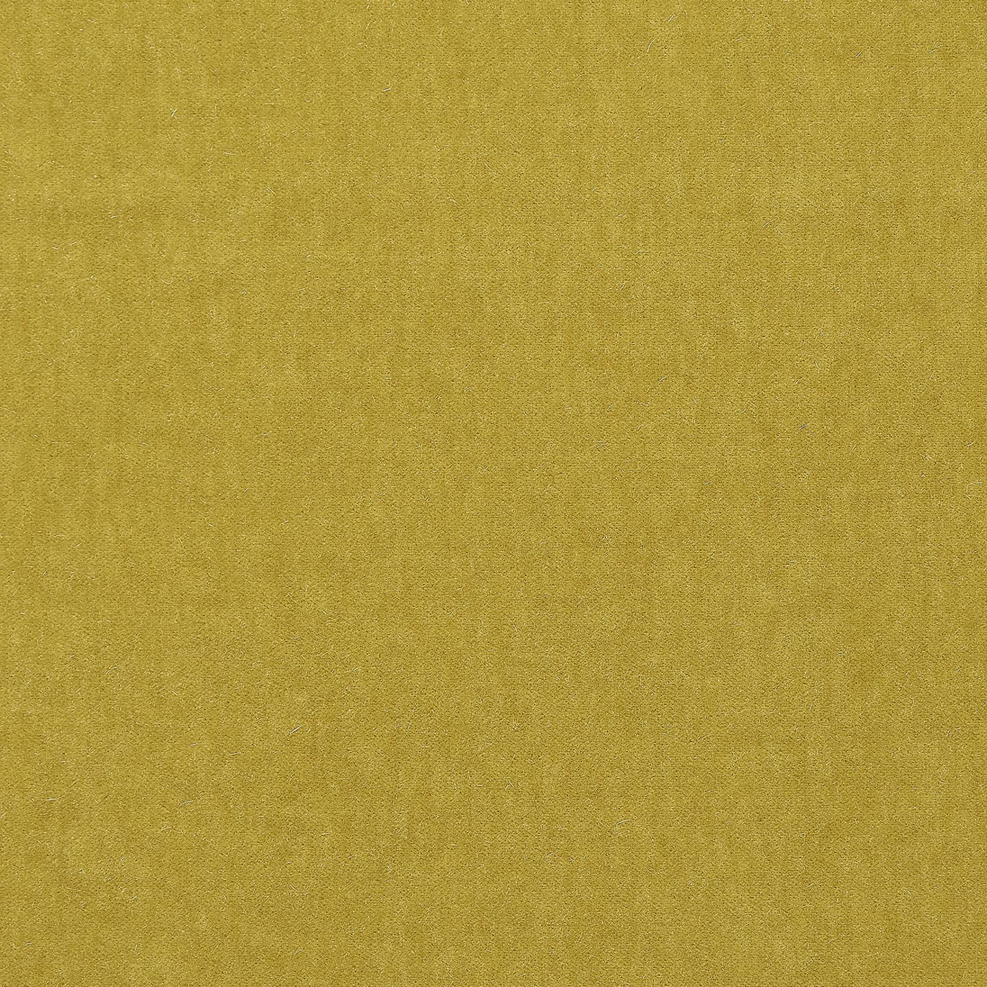Marci Mohair Lichen