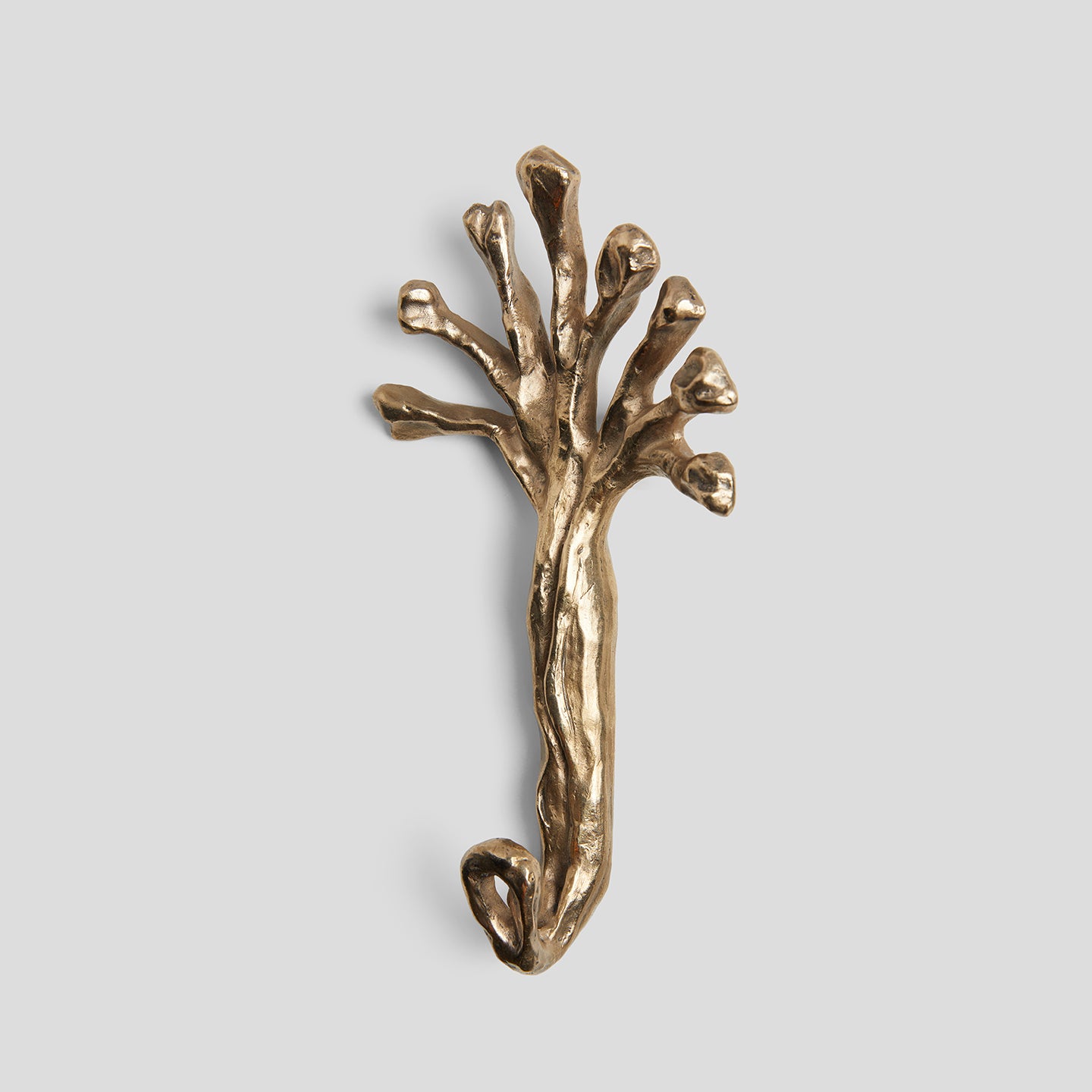 Sylva Rowan Hook in Bronze